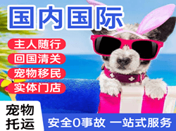 扎兰屯成吉思汗航空物流国际宠物托运 【国
